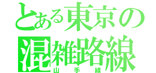 とある東京の混雑路線（山手線）