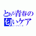 とある青春の匂いケア（シーブリーズ）