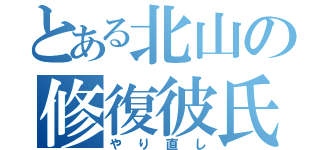 とある北山の修復彼氏（やり直し）