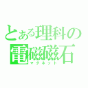 とある理科の電磁磁石（マグネット）