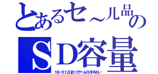 とあるセ～儿品のＳＤ容量（１６～５１２ＧＢってゲームのＨＰみたい）