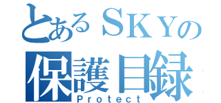 とあるＳＫＹの保護目録（Ｐｒｏｔｅｃｔ）