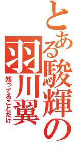 とある駿輝の羽川翼（知ってることだけ）