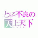 とある不良の天上天下唯我独尊（ハコワレ）