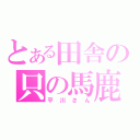 とある田舎の只の馬鹿（平川さん）