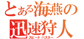 とある海燕の迅速狩人（スピードバスター）