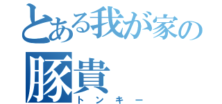 とある我が家の豚貴（トンキー）