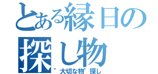 とある縁日の探し物（"大切な物"探し）