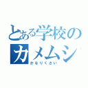 とある学校のカメムシ（かなりくさい）