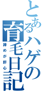 とあるハゲの育毛日記（諦めが肝心）