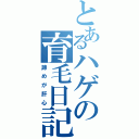 とあるハゲの育毛日記（諦めが肝心）