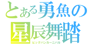 とある勇魚の星辰舞踏（ビッグバンカーニバル）