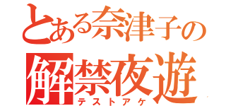 とある奈津子の解禁夜遊（テストアケ）