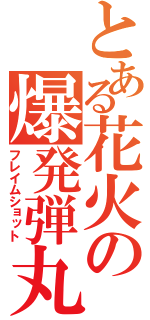 とある花火の爆発弾丸（フレイムショット）