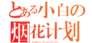 とある小白の烟花计划（ＳｌｏｗＷｈｉｔｅ'ｓＦｉｒｅｗｏｒｋＰｒｏｊｅｃｔ）