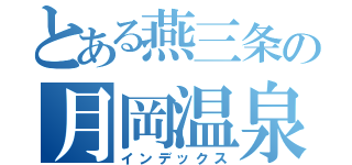 とある燕三条の月岡温泉（インデックス）