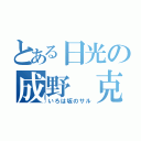 とある日光の成野　克（いろは坂のサル）