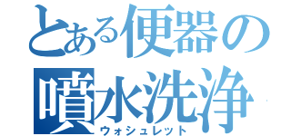 とある便器の噴水洗浄（ウォシュレット）