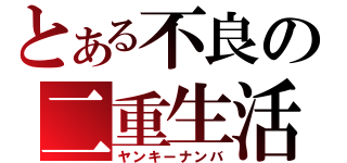 とある不良の二重生活（ヤンキーナンバ）