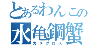 とあるわんこの水亀鋼蟹（カメグロス）