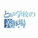 とある学校の養豚場（豚牧場）