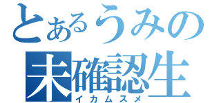 とあるうみの未確認生物（イカムスメ）