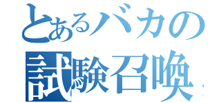 とあるバカの試験召喚戦争（）