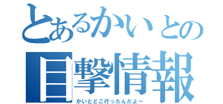 とあるかいとの目撃情報（かいとどこ行ったんだよー）