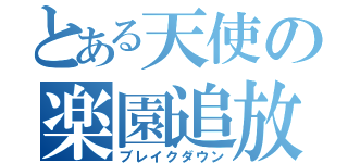 とある天使の楽園追放（ブレイクダウン）