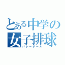 とある中学の女子排球（バレーボール）