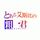 とある艾斯比の粗盐君（インデックス）