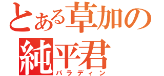 とある草加の純平君（パラディン）