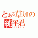 とある草加の純平君（パラディン）