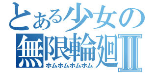 とある少女の無限輪廻Ⅱ（ホムホムホムホム）