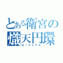 とある衛宮の熾天円環（ローアイアス）