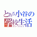 とある小谷の学校生活（スリープライフ）