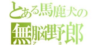 とある馬鹿犬の無脳野郎（アホ）