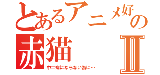 とあるアニメ好きの赤猫Ⅱ（中二病にならない為に…）