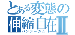 とある変態の伸縮自在の愛Ⅱ（バンジーガム）