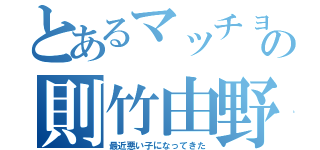 とあるマッチョの則竹由野（最近悪い子になってきた）