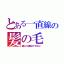 とある一直線の髪の毛（誰にも真似できない）