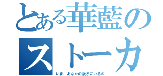 とある華藍のストーカー（いま、あなたの後ろにいるの）