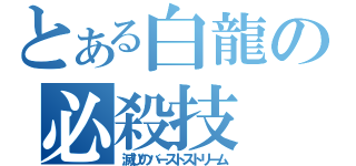 とある白龍の必殺技（滅びのバーストストリーム）