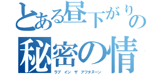 とある昼下がりの秘密の情事（ラブ イン ザ アフタヌーン）