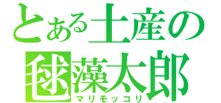 とある土産の毬藻太郎（マリモッコリ）