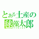 とある土産の毬藻太郎（マリモッコリ）