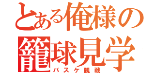 とある俺様の籠球見学（バスケ観戦）