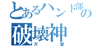 とあるハンド部の破壊神（万愛）