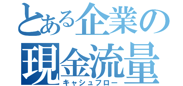 とある企業の現金流量（キャシュフロー）