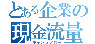 とある企業の現金流量（キャシュフロー）